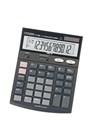 Citizen Calculator Check and Correct