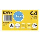 Cumberland 612322 Pocket Envelope Gold 250 Pack