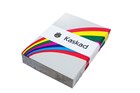 Kaskad Sparrow Grey 100gsm A4 Copy Paper Ream