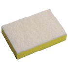 Sabco Soft Grade Scourer 15 x 10cm 10 Pack