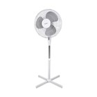 Fans