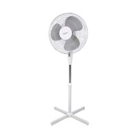 Fans