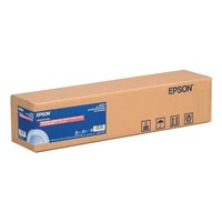 Epson S042076 Paper Roll