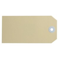 Avery Shipping Tags No 5 120x60mm Buff 1000 Box