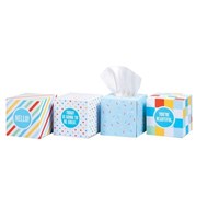 Who Gives A Crap Forest Friendly Tissues 3 Ply 12 Pack