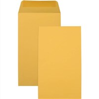 Cumberland Seed Pocket Envelops P6 Gold 1000 Box
