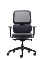 Orca Chair