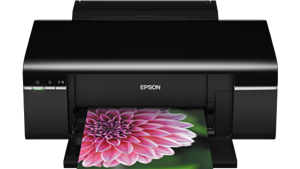 EPSON STYLUS PHOTO T50